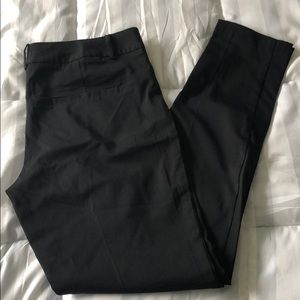 Dress pants